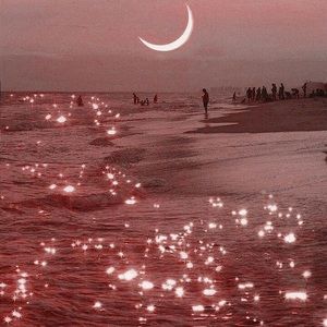 Meet your Posher, Gianna